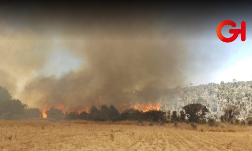 contingencia ambiental Tlaxcala