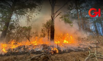 incendios forestales Tlaxcala