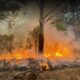 incendios forestales Tlaxcala